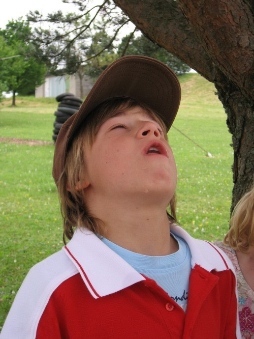 2010 hartheim 20141020